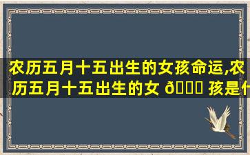 农历五月十五出生的女孩命运,农历五月十五出生的女 🐋 孩是什么星座